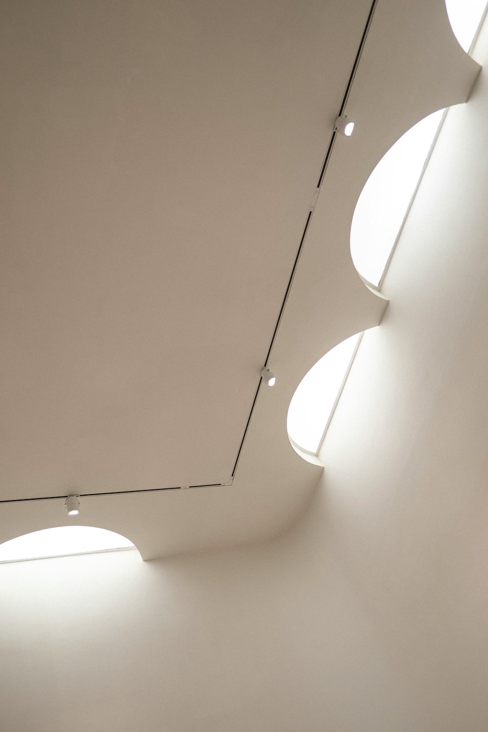 Weiße Decke mit geschwungenen Oberlichtern und Schienenbeleuchtung.